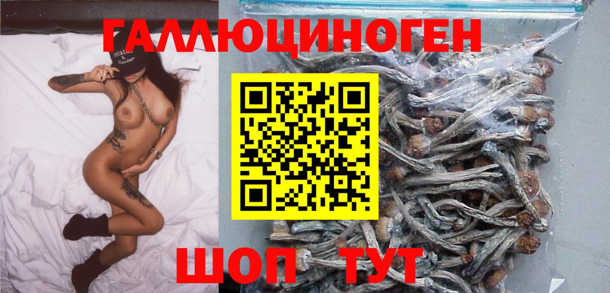 Псилоцибиновые грибы Magic Shrooms Вышний Волочёк